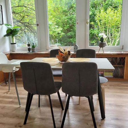 Family Apartment Linz Wohnen Mit Garten Am Fusse Des Poestlingbergs Top Lage Villenviertel エクステリア 写真