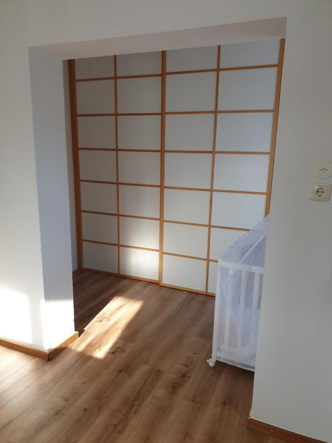 Family Apartment Linz Wohnen Mit Garten Am Fusse Des Poestlingbergs Top Lage Villenviertel エクステリア 写真