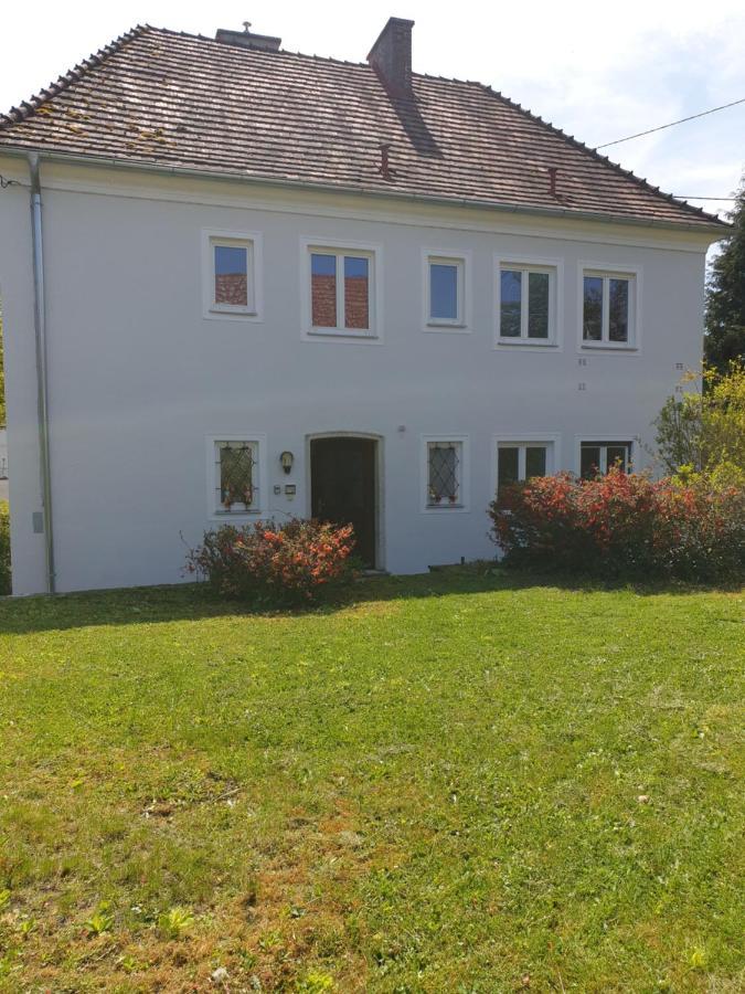 Family Apartment Linz Wohnen Mit Garten Am Fusse Des Poestlingbergs Top Lage Villenviertel エクステリア 写真
