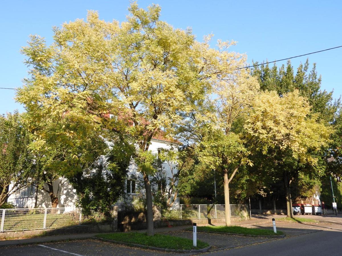 Family Apartment Linz Wohnen Mit Garten Am Fusse Des Poestlingbergs Top Lage Villenviertel エクステリア 写真