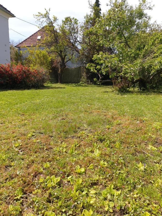 Family Apartment Linz Wohnen Mit Garten Am Fusse Des Poestlingbergs Top Lage Villenviertel エクステリア 写真
