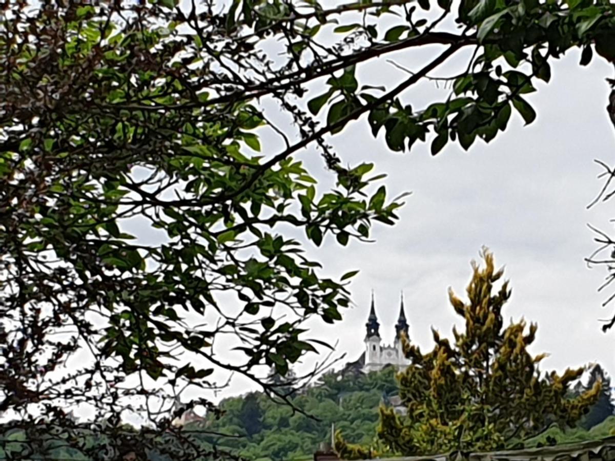 Family Apartment Linz Wohnen Mit Garten Am Fusse Des Poestlingbergs Top Lage Villenviertel エクステリア 写真