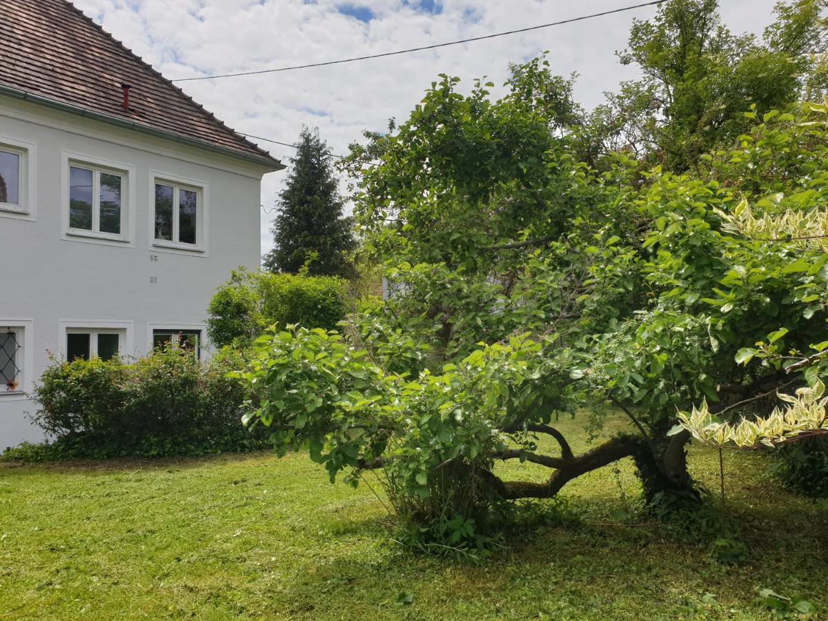 Family Apartment Linz Wohnen Mit Garten Am Fusse Des Poestlingbergs Top Lage Villenviertel エクステリア 写真