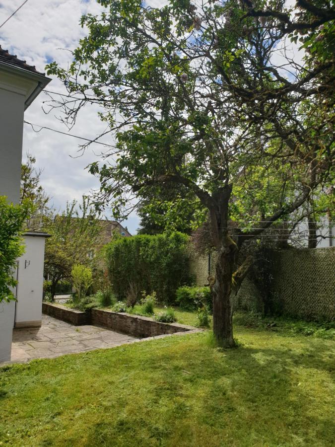 Family Apartment Linz Wohnen Mit Garten Am Fusse Des Poestlingbergs Top Lage Villenviertel エクステリア 写真