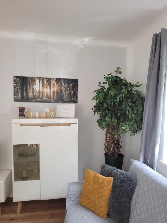 Family Apartment Linz Wohnen Mit Garten Am Fusse Des Poestlingbergs Top Lage Villenviertel エクステリア 写真